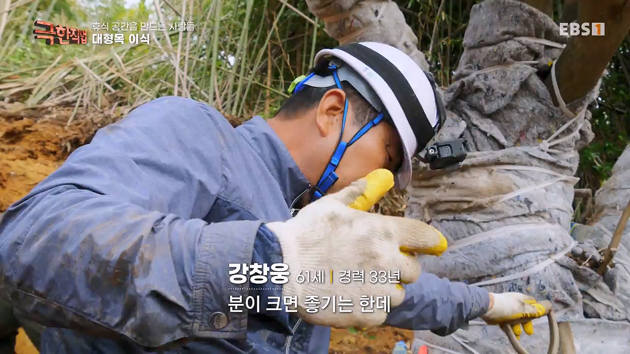 TV - 전 국민의 평생학교 EBS휴식공간을 만드는 사람들, 대형목 이식과 조경.mp4_20240518_160848.887.jpg