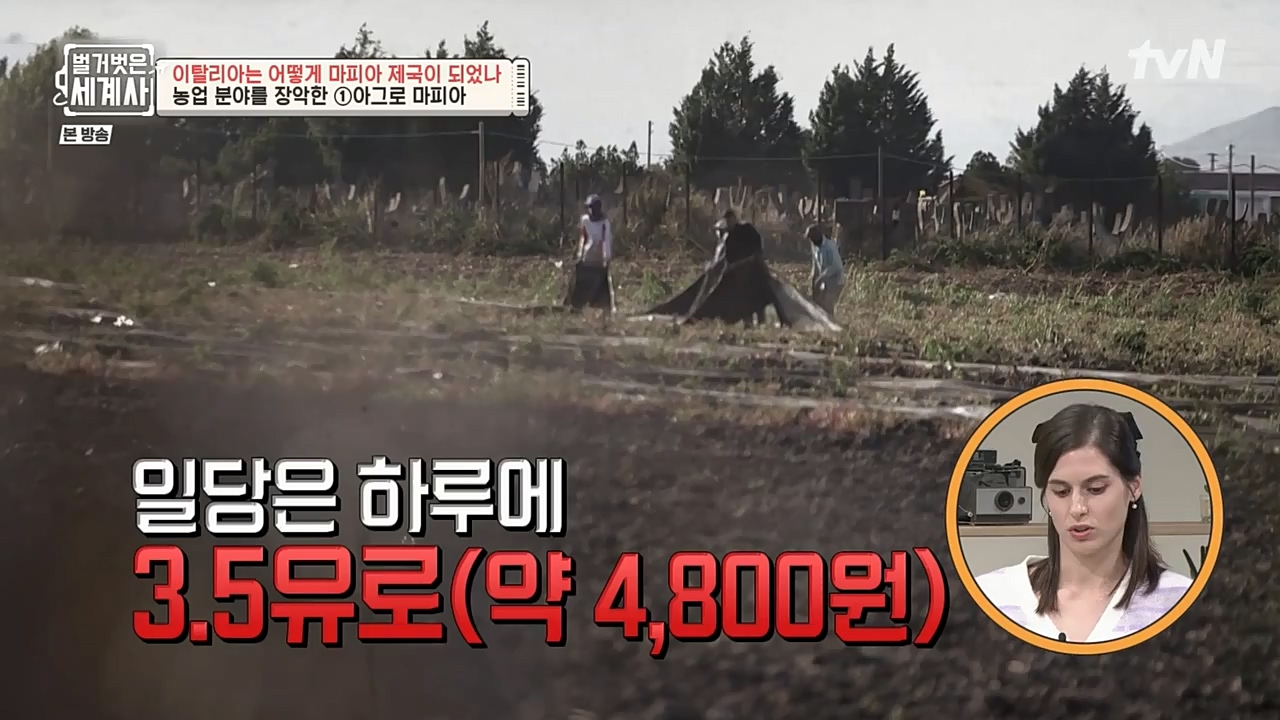 벌거벗은 세계사.E74.221123p-NEXT.mp4_20221205_203411.275.jpg