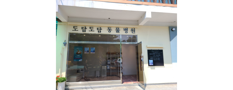 인제군 동물병원