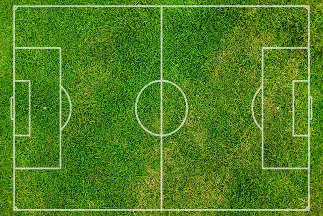 축구 협회장 선거방법