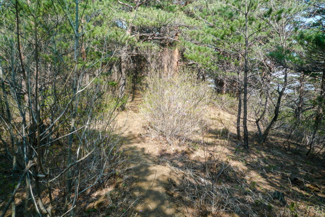 한국명산 강원 삼척 명산 두타산 등산 mountain hiking