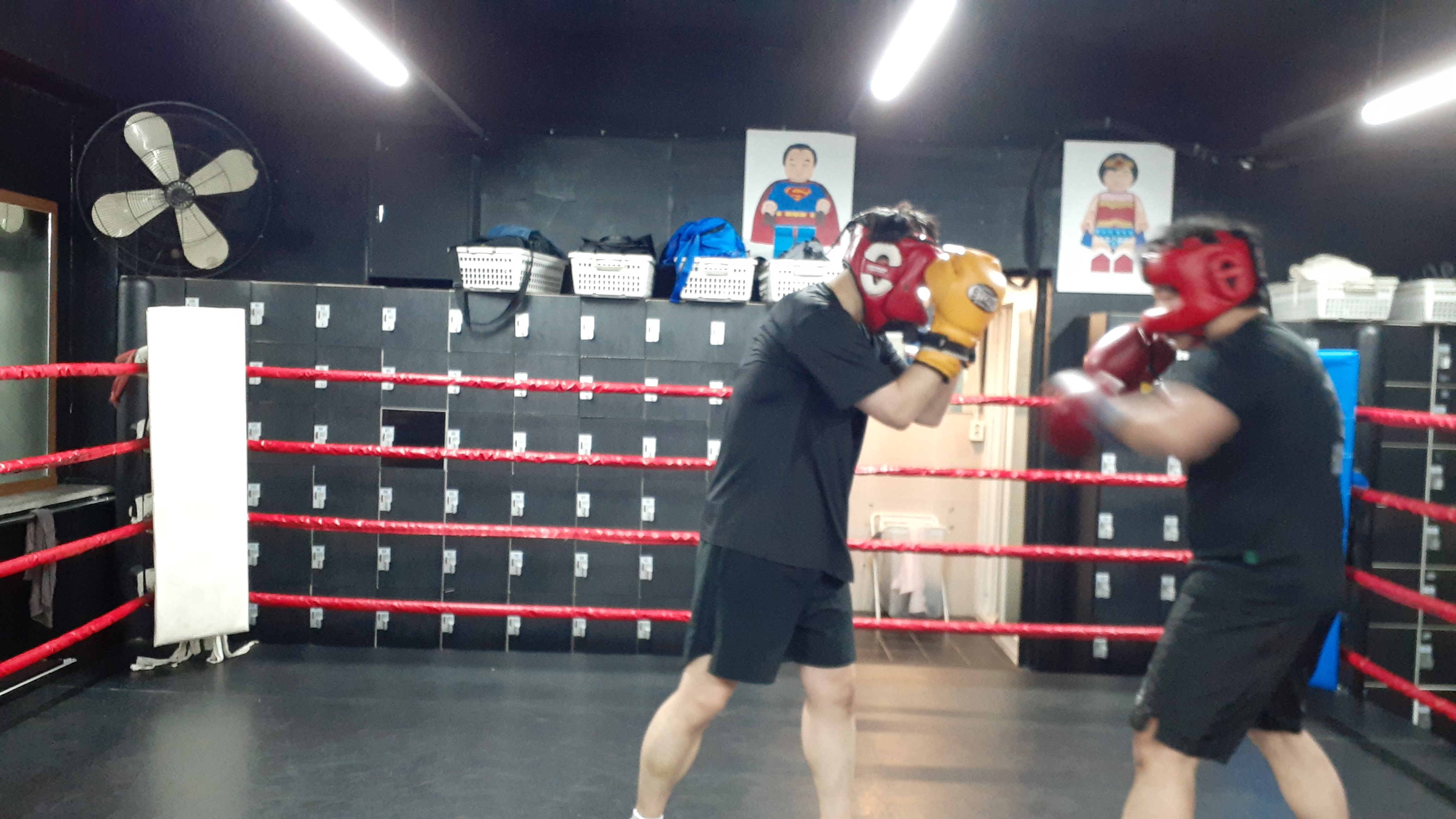 27. 3. 23. 양천구 복싱 대한복싱체육관 신정동 복싱 목동 복싱 신월동 복싱 경찰 무도 자격증 52