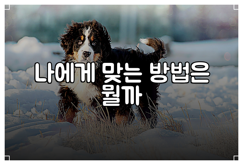 나에게 맞는 방법은 뭘까