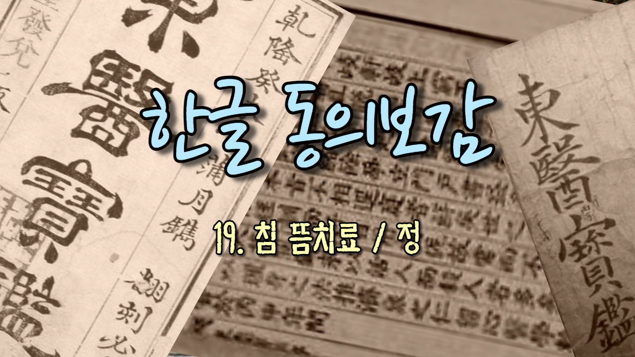  19. 침 뜸치료[鍼灸法]/정 ( 내경편 정 )