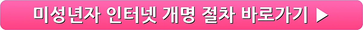 미성년자 인터넷 개명 절차_10