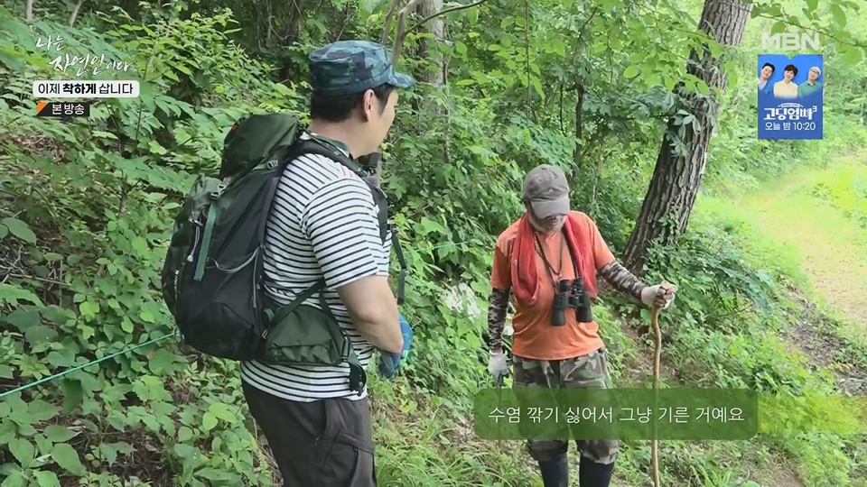 나는 자연인이다.E560.230628p.H264-F1RST.mp4_20230701_182651.686.jpg