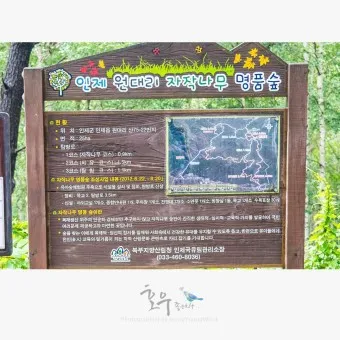 인제 가볼만한곳 베스트10 현지인 추천 필수코스_17