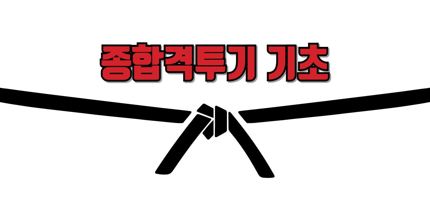 종합 격투기의 매력과 성공 전략
