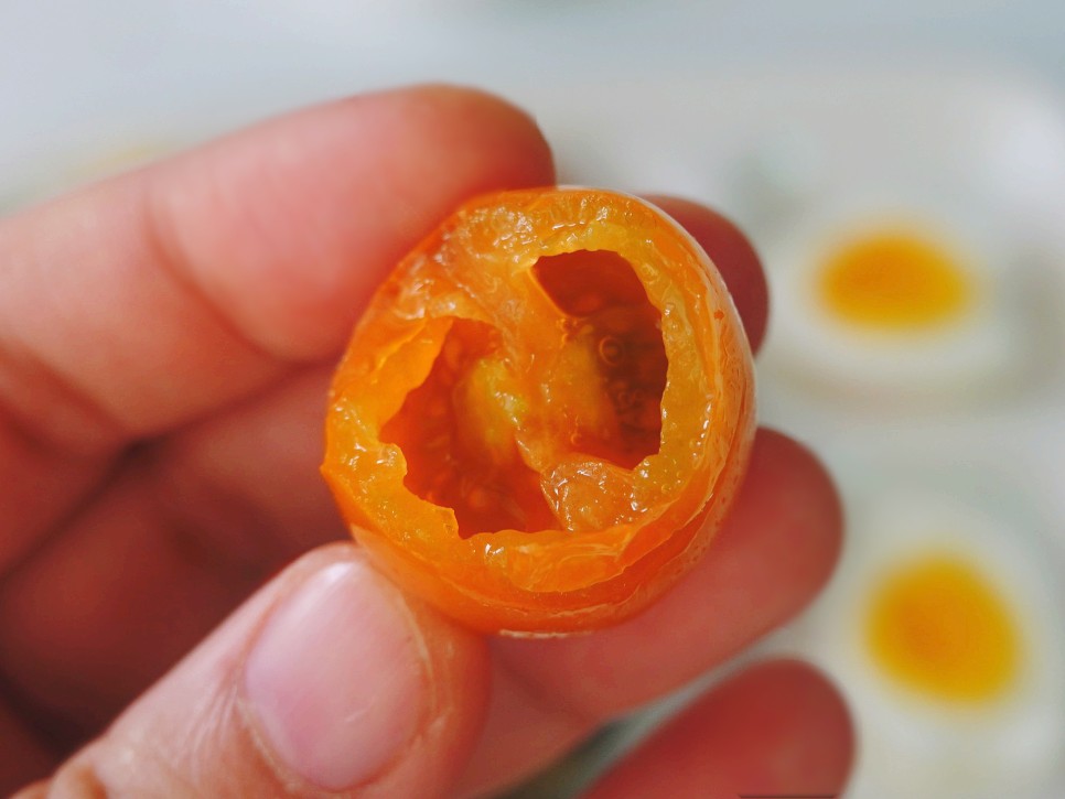 토마토들 산지직송 컬러 7