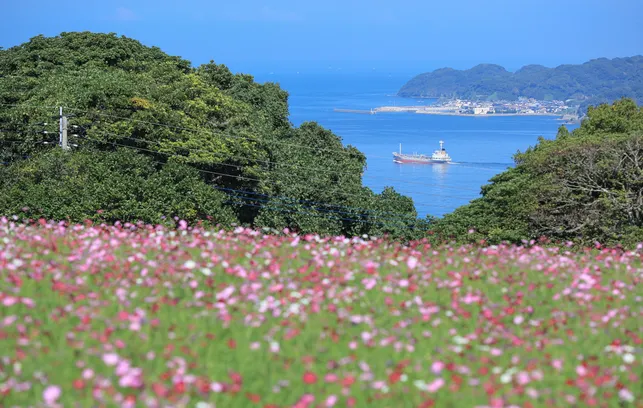 후쿠오카-노코시마섬