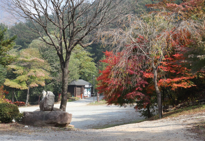 애견동반-가능-수도권-자연휴양림