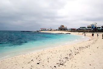 우도 여행 제주도 우도 배편 시간 요금_16