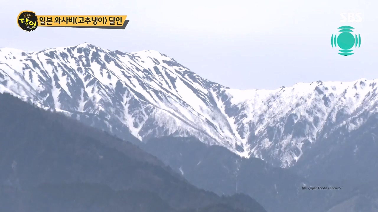 생활의 달인.E908.231017p-NEXT.mp4_20231017_200332.537.jpg