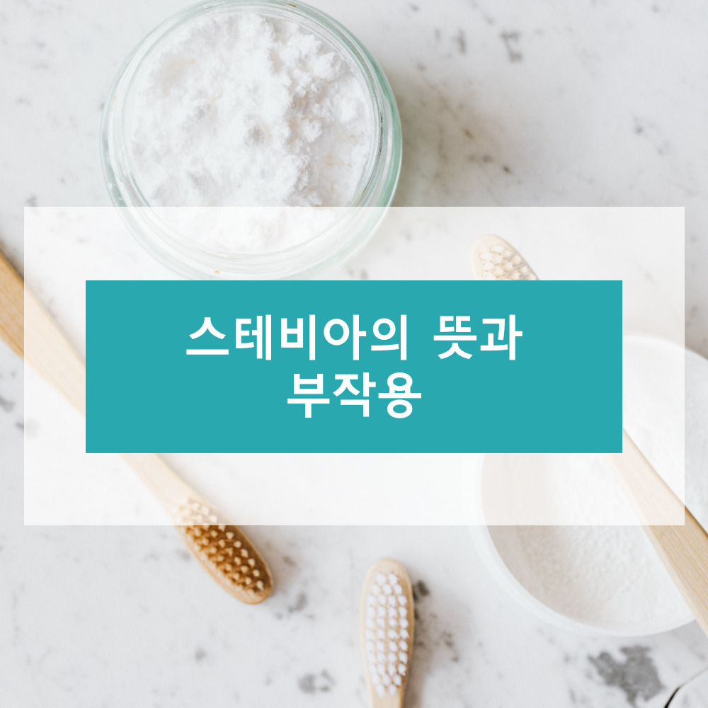 스테비아의 뜻과 부작용