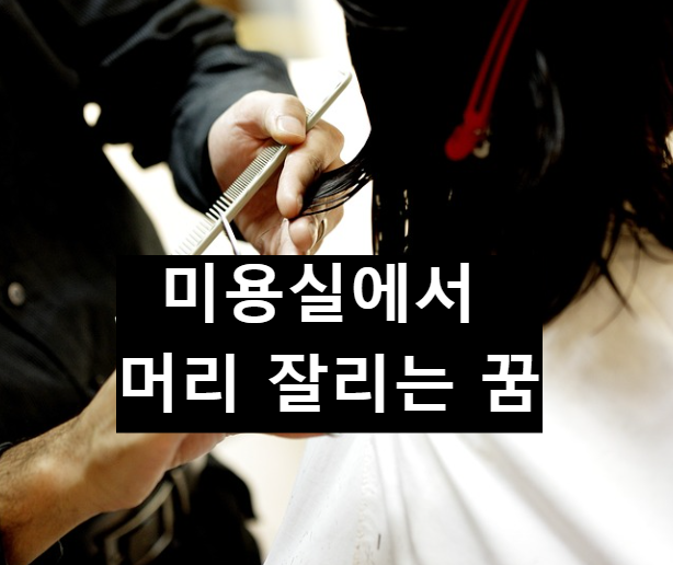  미용실에서 머리 잘리는 꿈 좋은건가?