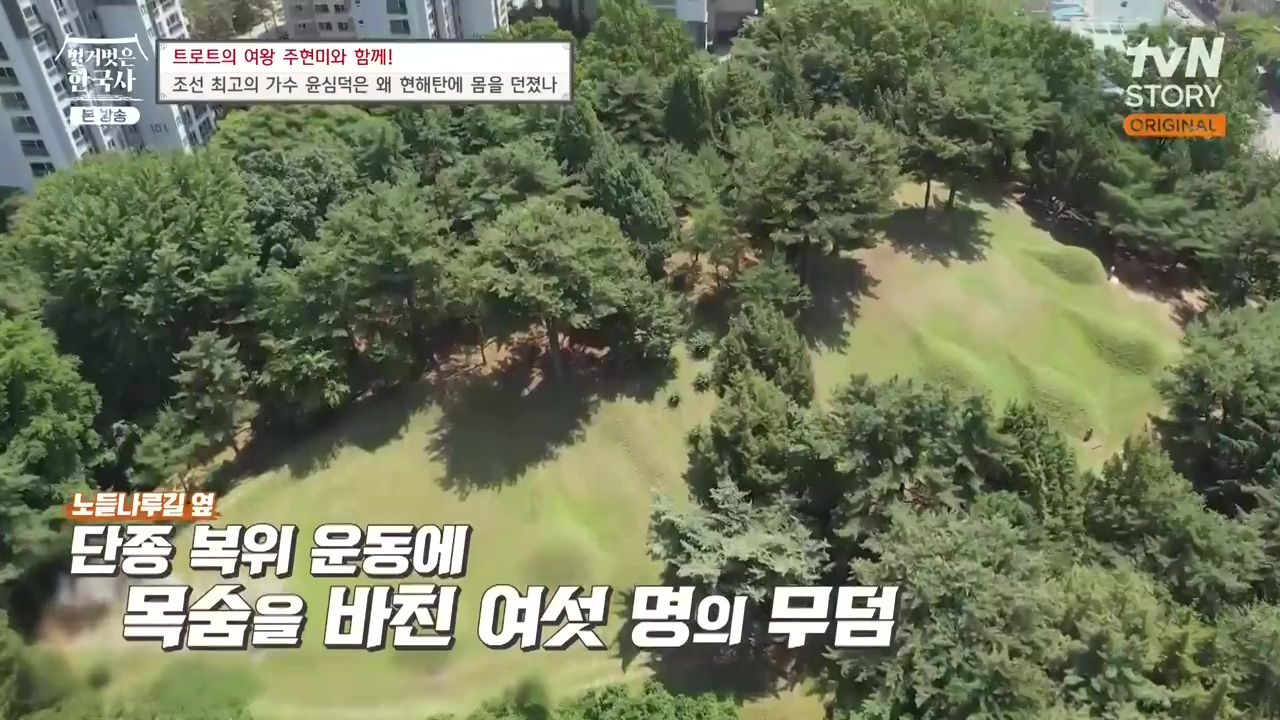 벌거벗은 한국사.E80.231102p-NEXT.mp4_20240528_195821.475.jpg
