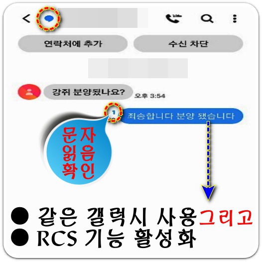 RCS-기능-활성화-문자-예시