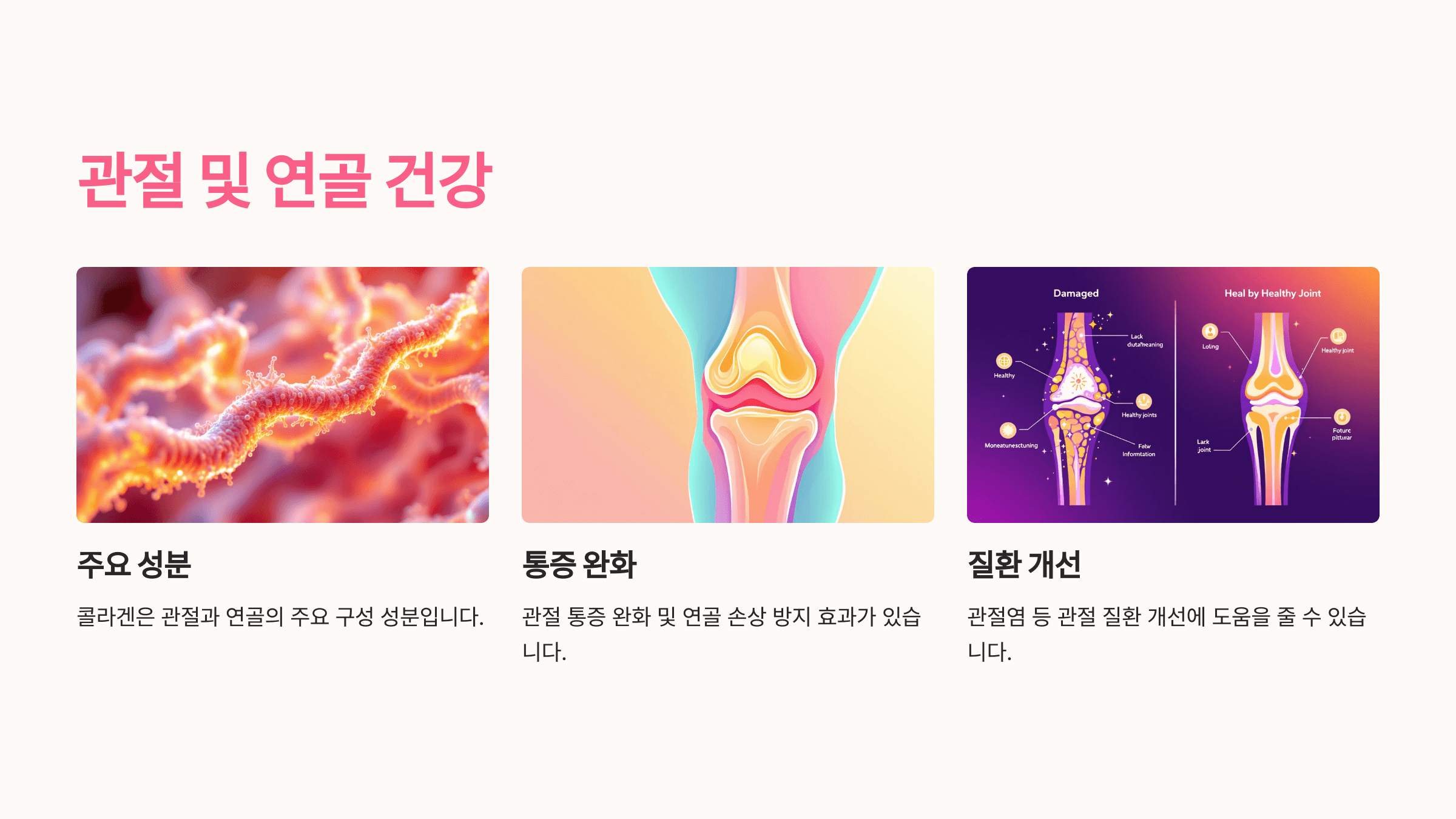 콜라겐과 관련된 사진입니다.