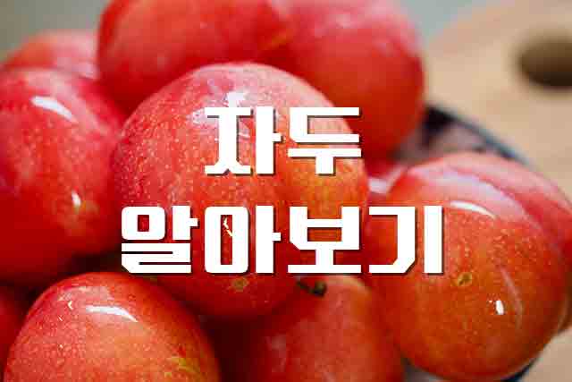  자두, 임산부에게 좋은 자두 자세한 정보