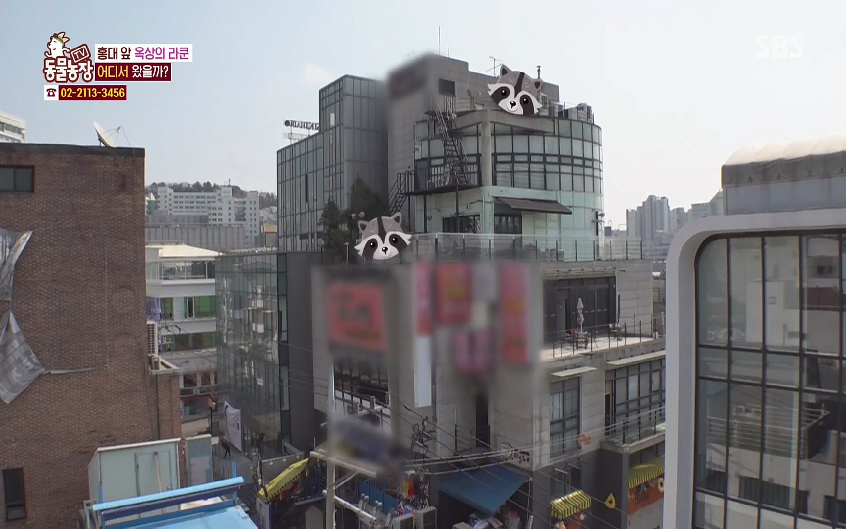 TV 동물농장.E1066.220424p.H264-F1RST.mp4_20220424_201026.824.jpg