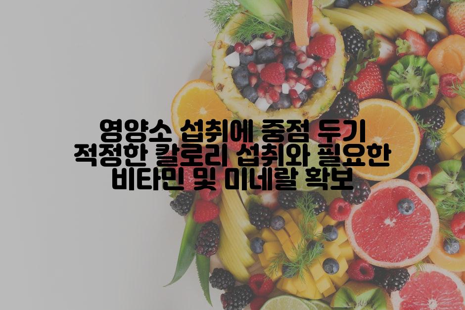 영양소 섭취에 중점 두기 적정한 칼로리 섭취와 필요한 비타민 및 미네랄 확보