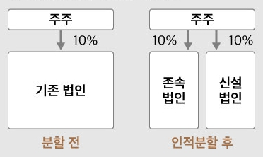 인적분할 구조 표