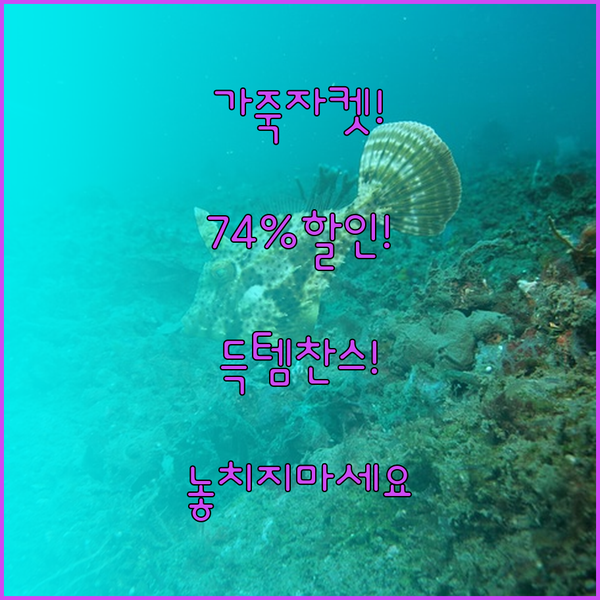 가죽자켓 득템찬스! 최대 74% 할인