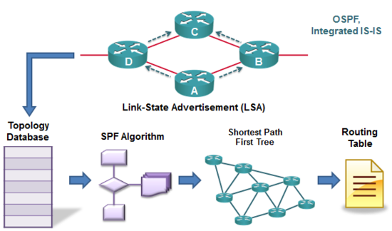  Link State