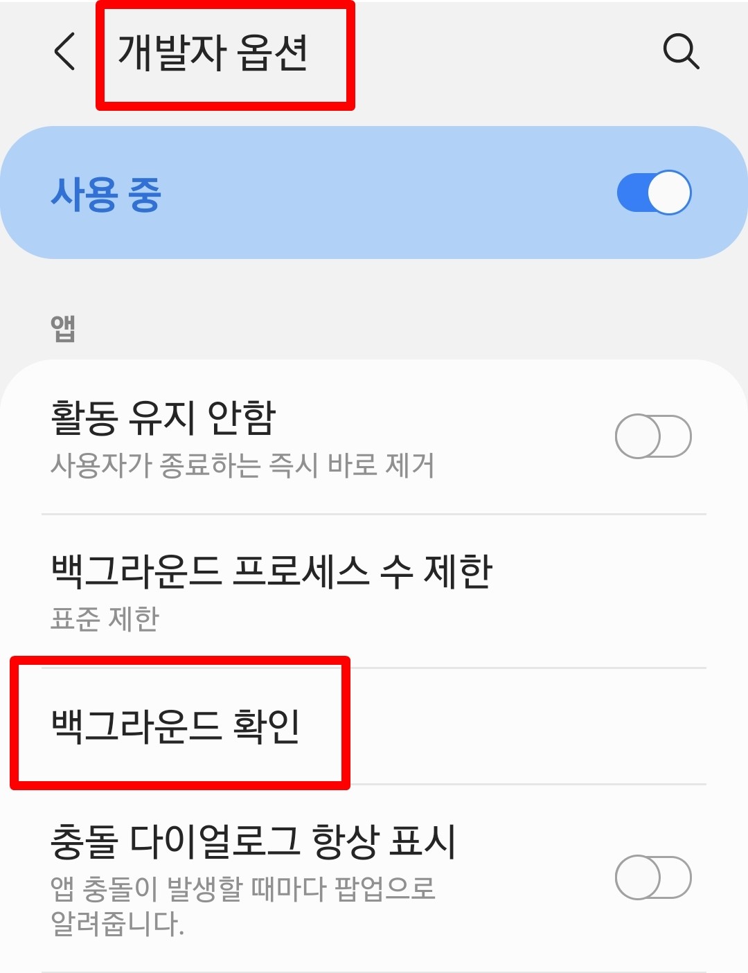 개발자옵션