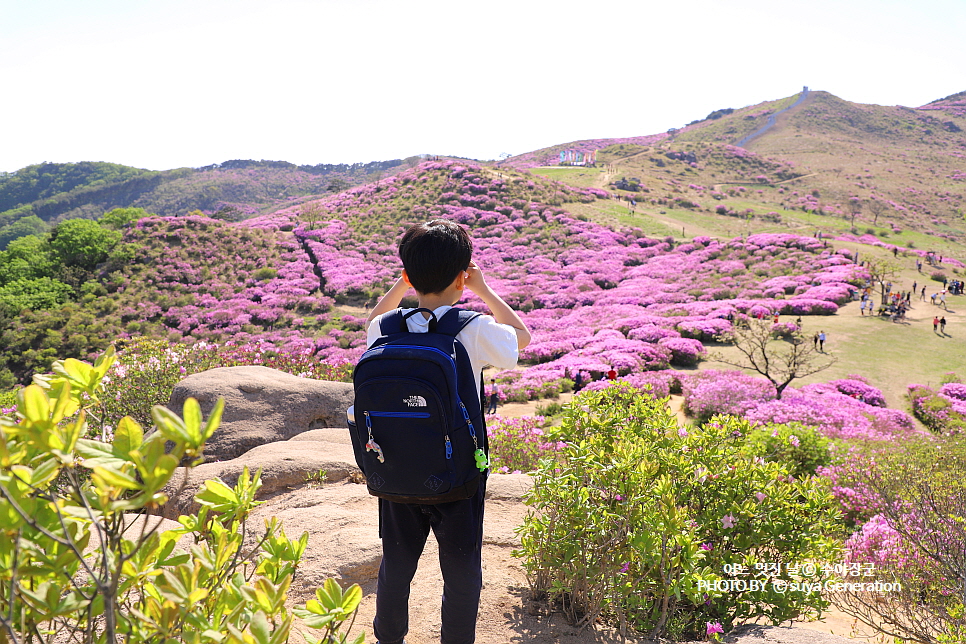  합천 황매산 철쭉제 5월 가볼만한곳  죽기전에 꼭 가봐야죠~