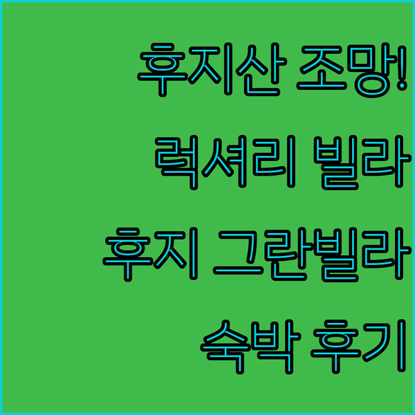 럭셔리 빌라에서 후지산 조망? 후지 