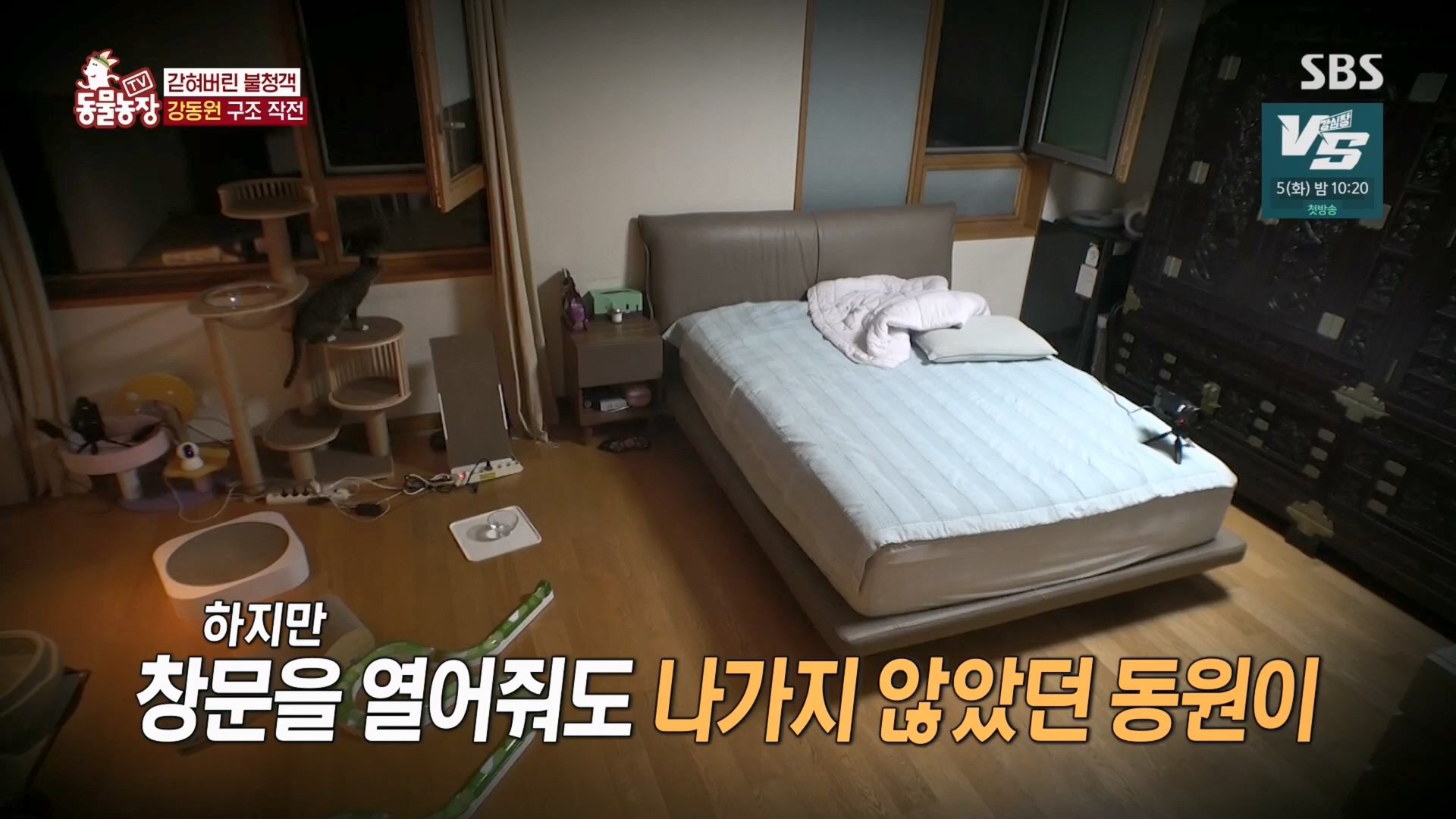 TV 동물농장.E1148.231203p.H264-F1RST.mp4_20231203_181438.940.jpg