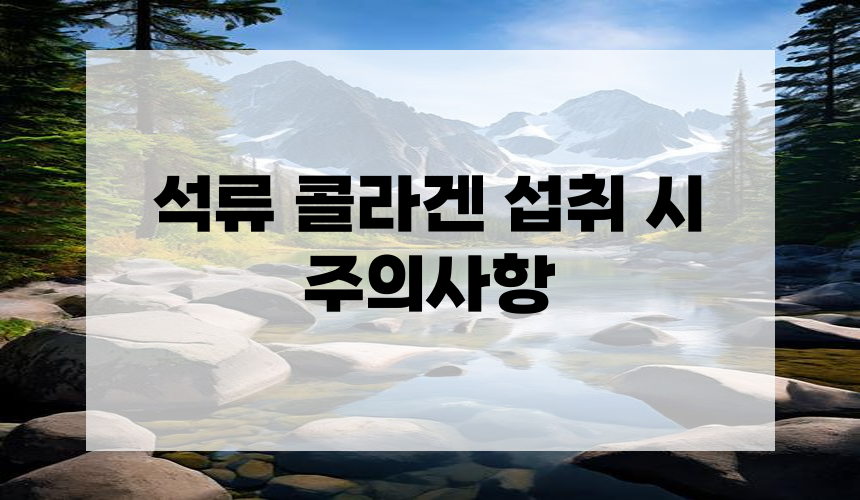 석류 콜라겐 섭취 시 주의사항