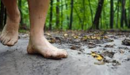 Analyzing the &#39;Barefoot&#39; Craze Health Claims and Environmental Implications