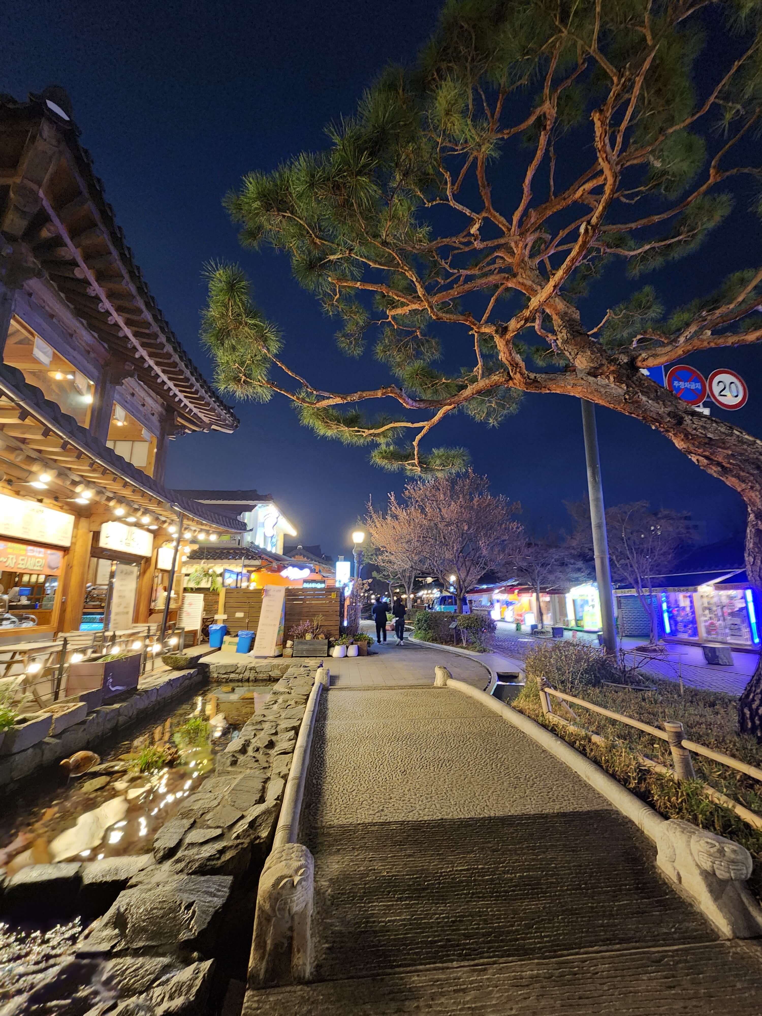 전주 애견동반 갈만한곳