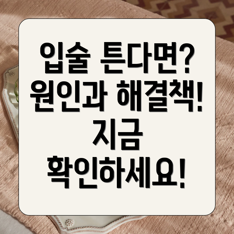 입술 부르트는 이유