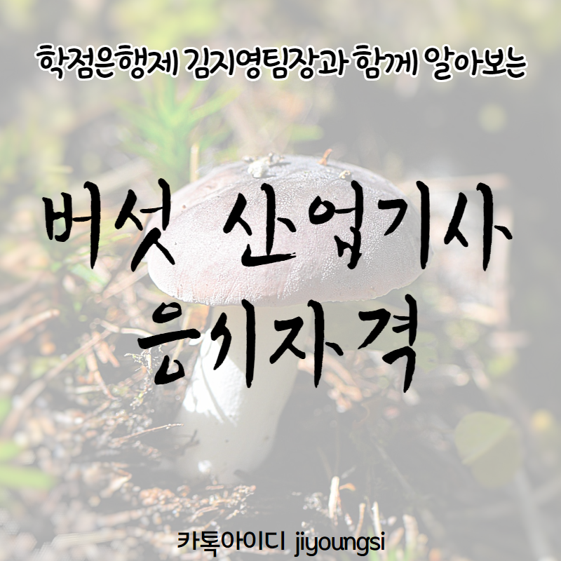  버섯산업기사 응시자격 고졸 취업 한눈에 정리해드려요