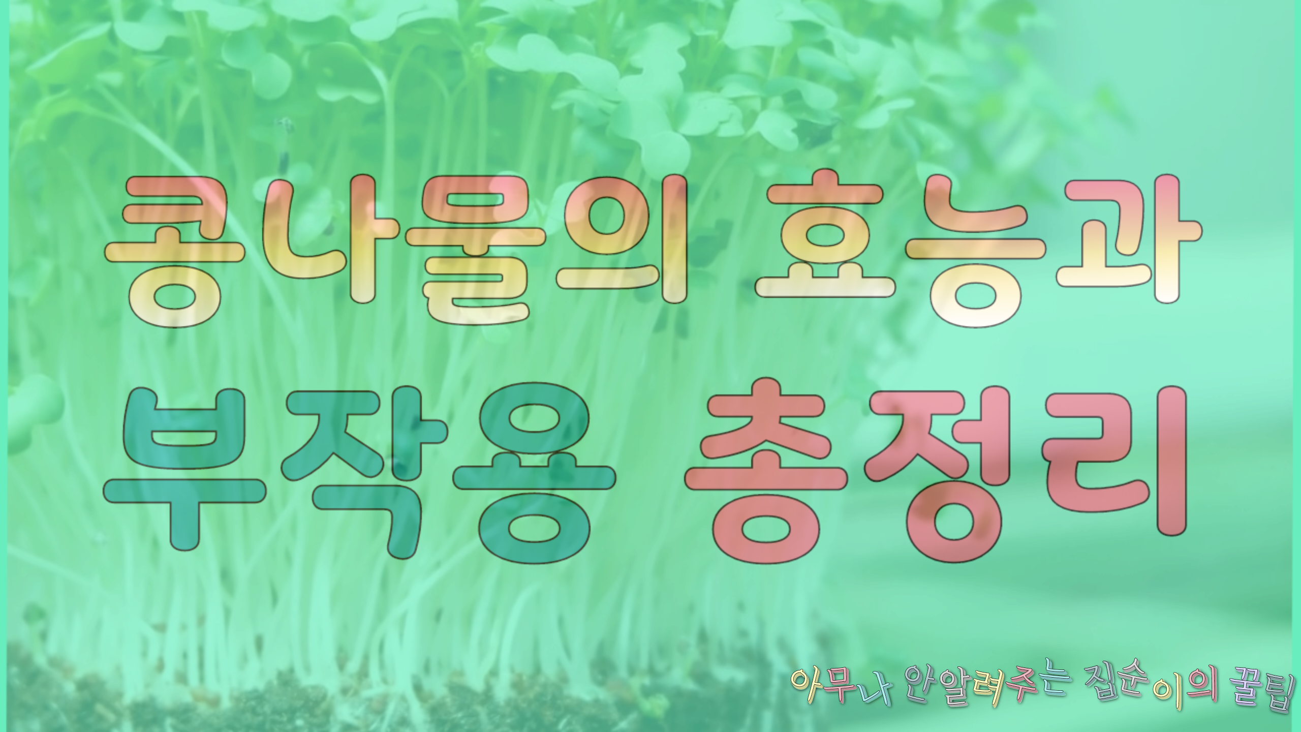 콩나물-효능과-부작용-메인사진