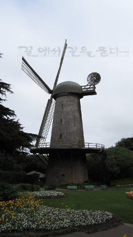 금문공원(Golden Gate Park) Murphy Windmill