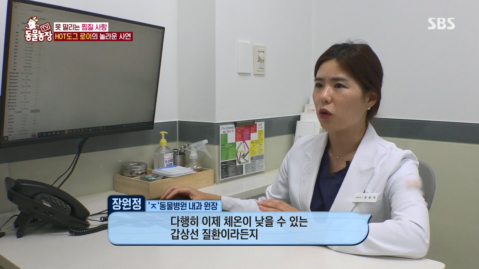 TV 동물농장.E1139.230924p.H264-F1RST.mp4_20230924_172329.279.jpg