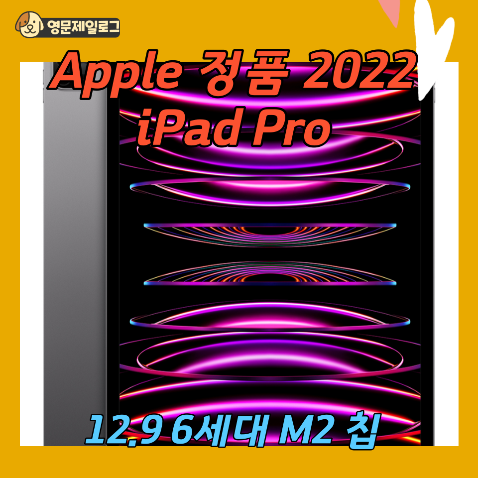 Apple 정품 2022 iPad Pro