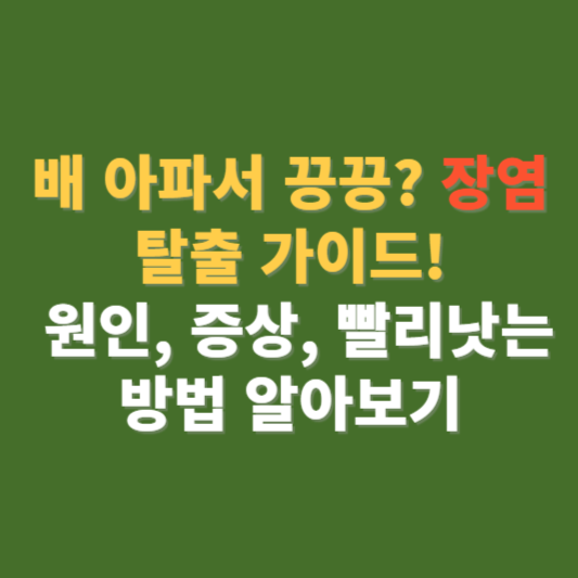 장염 원인 증상 빨리낫는 법 좋은 음식 알아보기