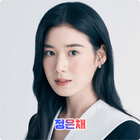  정은채 프로필 및 작품활동 정리 - 본명, 나이, 생년월일, 소속사, 드라마, 영화, 데뷔 등
