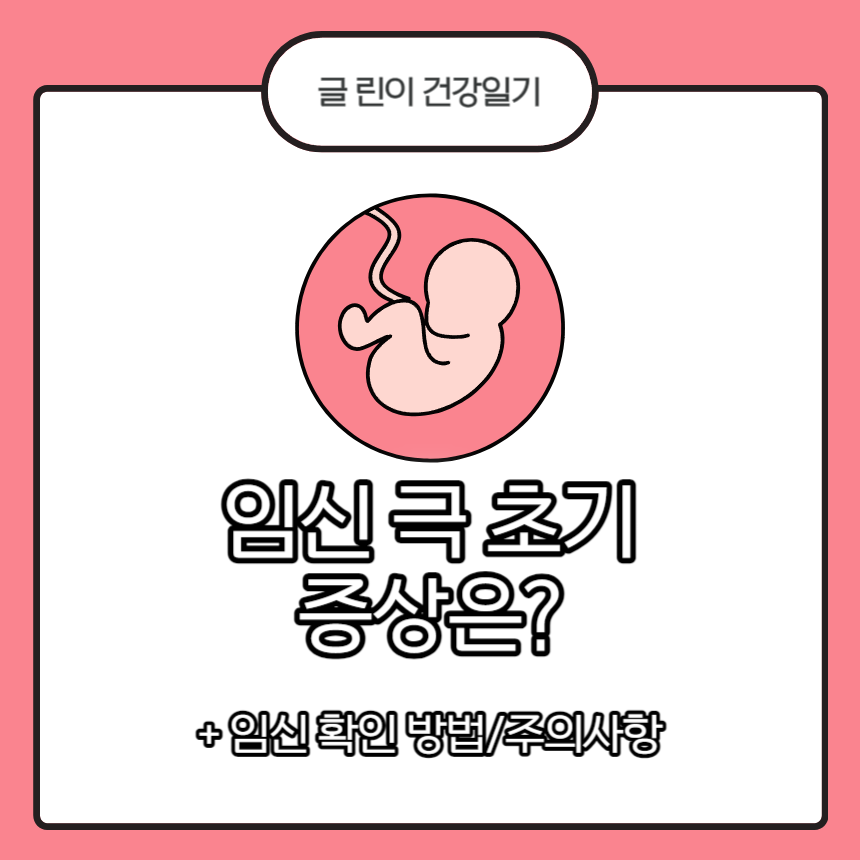  임신 극초기 증상은?