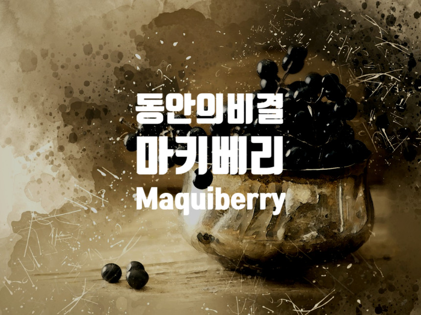  마키베리 Maqui berry : 동안의 비결