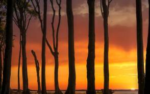 휘슬러 as센터 조회 및 운영처 제품 관리 방법