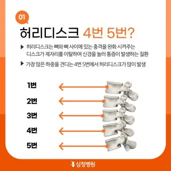 허리디스크 초기증상 대처법 증상완화 운동법_10