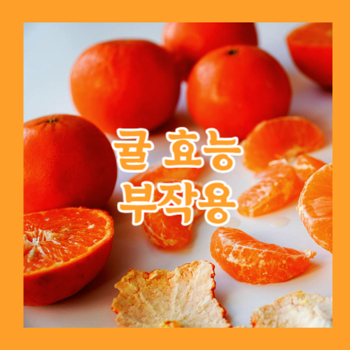 귤 효능 부작용