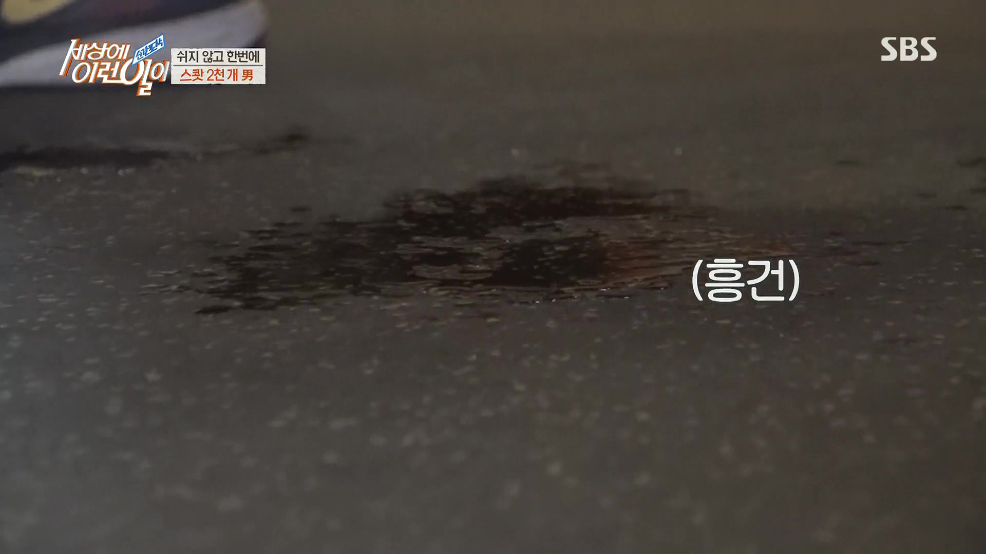 순간포착 세상에 이런일이.E1213.230110p.H264-F1RST.mp4_20230111_194911.995.jpg