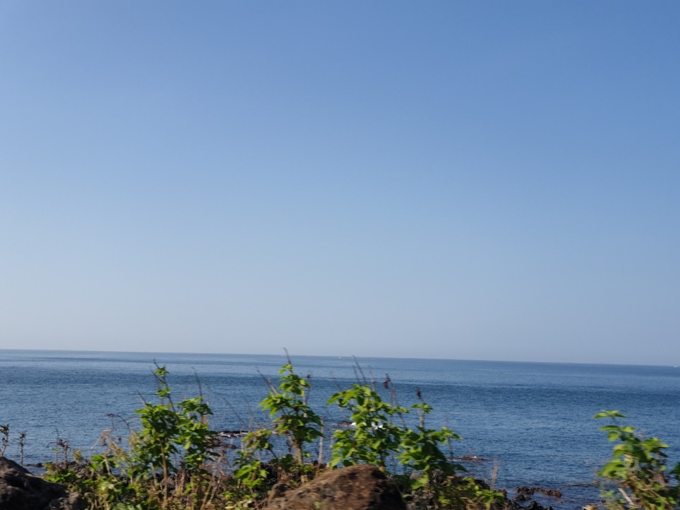 제주 전연령 렌트카 제주도 첫날 시작! 7